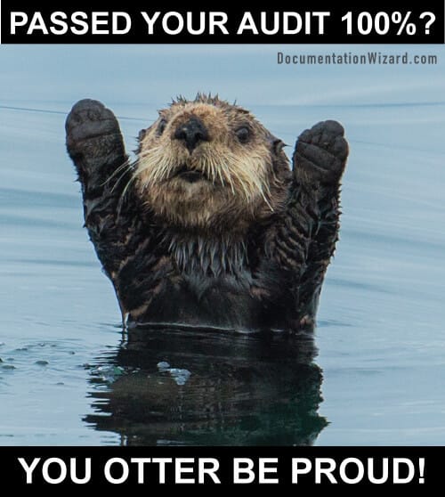 Passing an Audit, you otter be happy